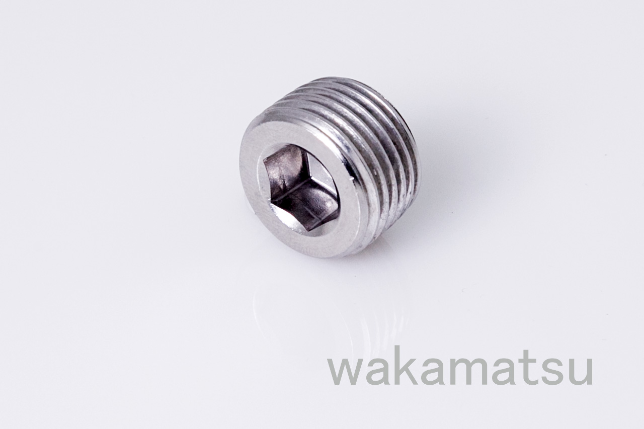 六盘水Hexagonal plug WCP