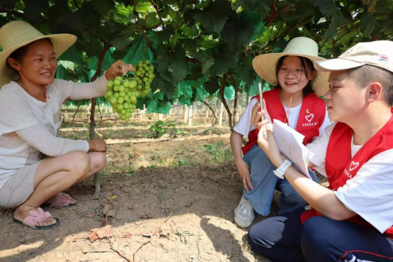 bti������(�й�)�ٷ���վ - APP����