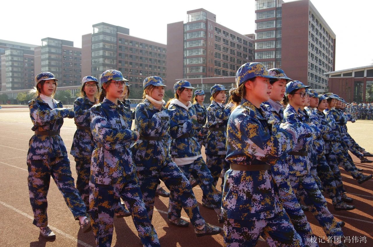 541B6F47417D527E9513F378BA5_F855A6EF_40653