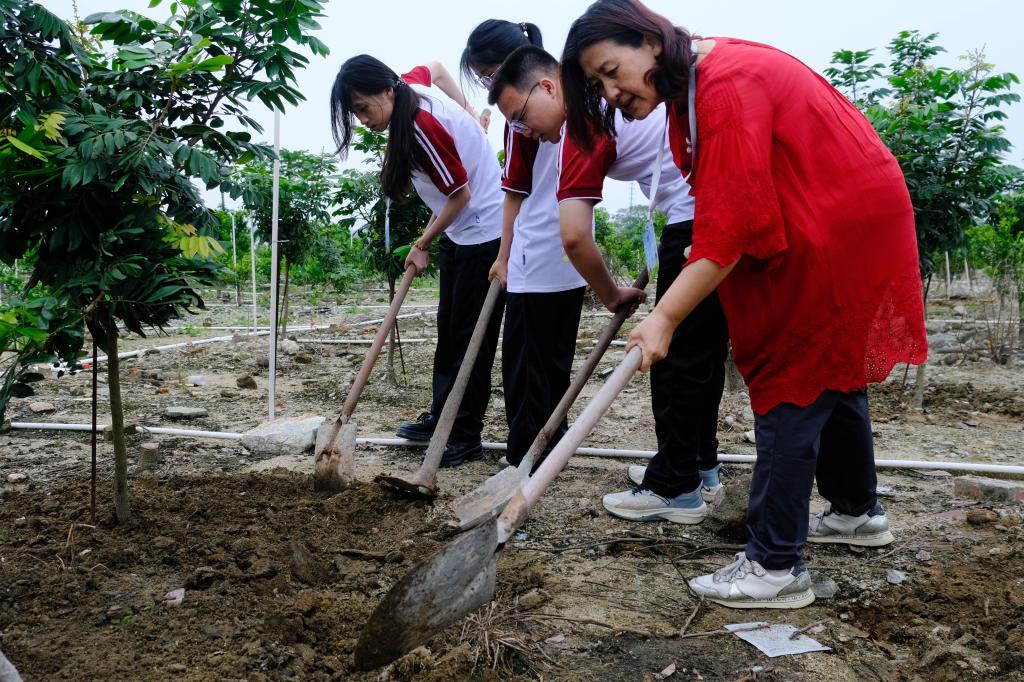 9AA5B82617A69A9BF4839125E7B_41A0A88A_2BB97