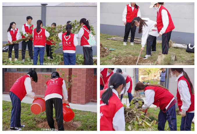 5C2C7F872F46CDCED3CE1CD489C_4553E316_78A65