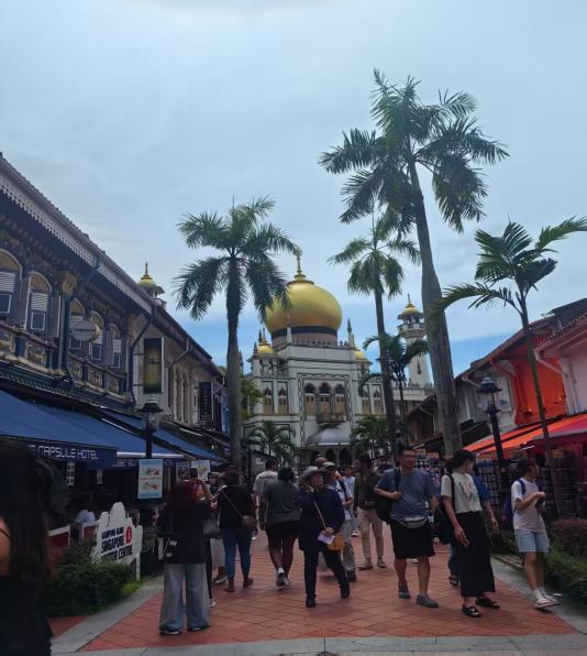 626D51E2C05CA3E846ED9552142_57FCB616_64A85 626D51E2C05CA3E846ED9552142_57FCB616_64A85