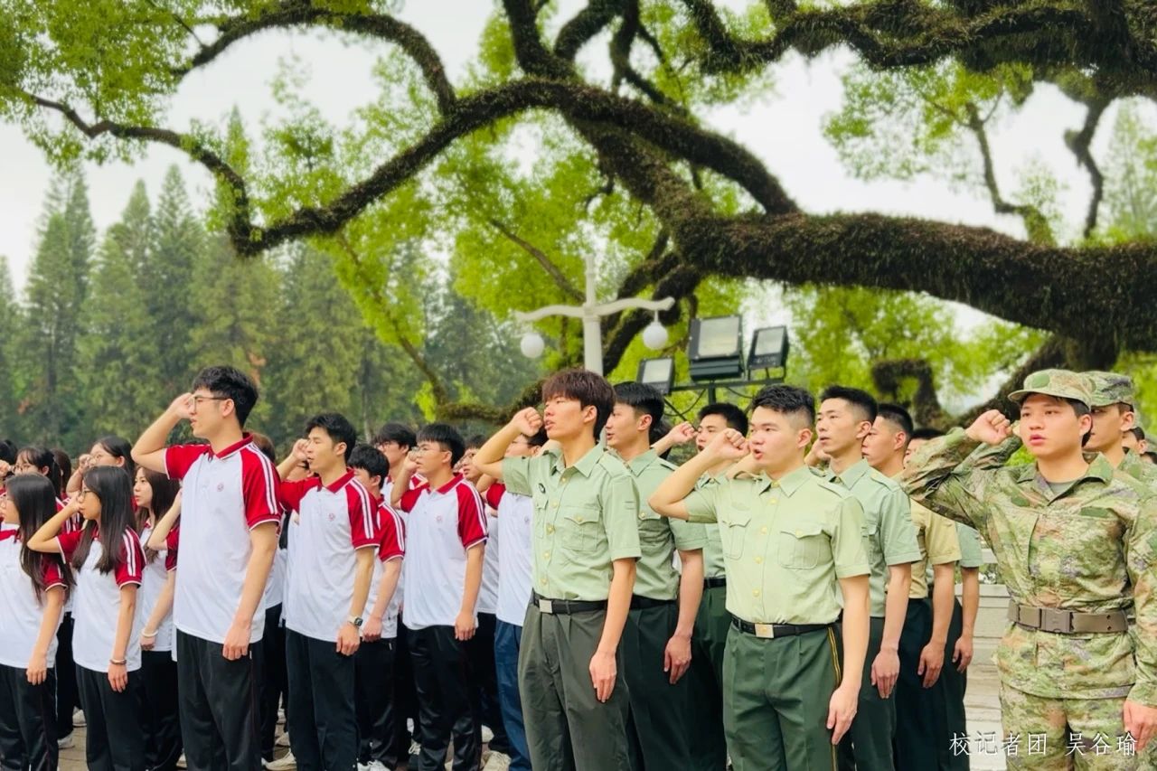 bti������(�й�)�ٷ���վ - APP����