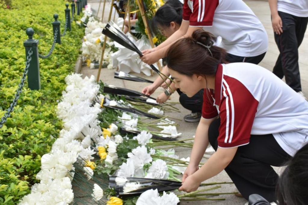 C992C02CD7582FC8E31ED83C6BB_8A0BA77F_1C032 C992C02CD7582FC8E31ED83C6BB_8A0BA77F_1C032