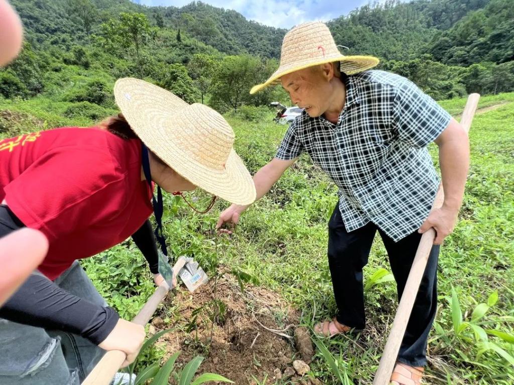 BBFB622CE928B49A22D8C3F662B_3E6B1A2F_31702