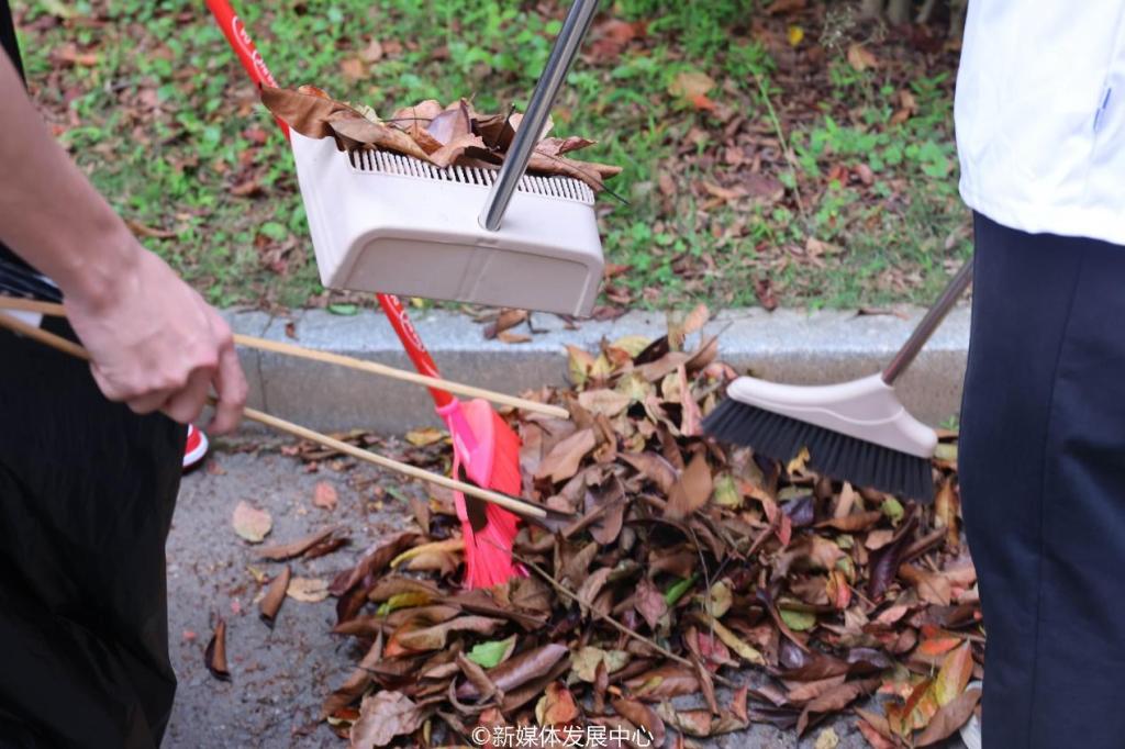 9059CF42F6EF59478583DFB6530_C506983B_19C57