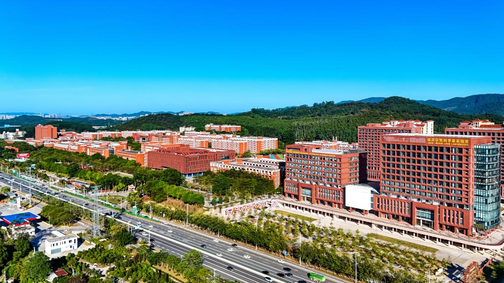 2F37F642A57E55CC6AB096763A2_E14D9742_24172