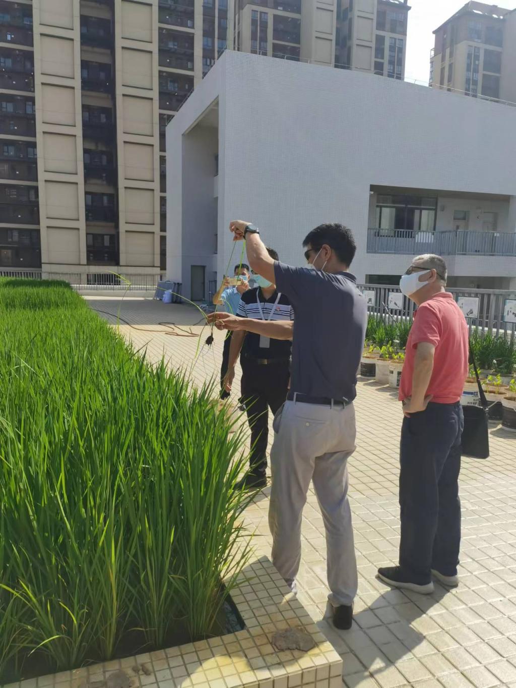 857754C07783A625F485EDC477B_FE55A7D4_2CA66 857754C07783A625F485EDC477B_FE55A7D4_2CA66