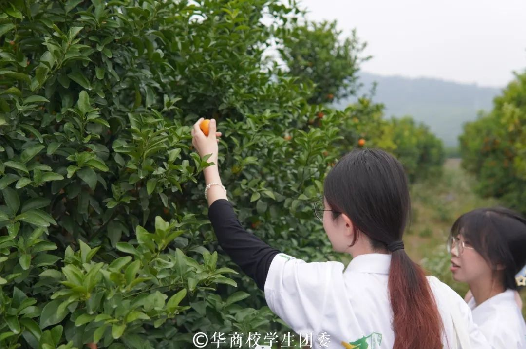 E2C1E365A4B22E890602819AD71_70F348BE_EEDBC