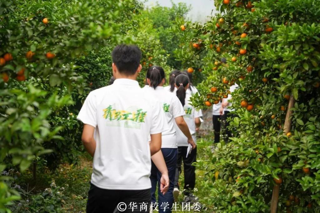 6740D5B9C8F0690A5A2594983BA_27DFA3A3_1F6A4