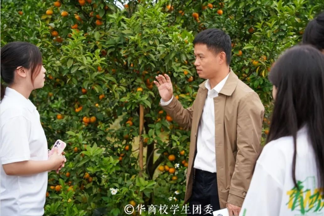 54DE13B0E64790F7B6935AE60E3_625FB0B3_F946B