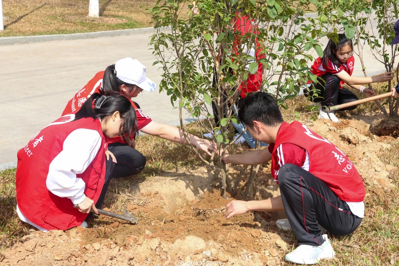 1BA98F0BBE450526E7D95068F04_0EC5A7A1_5742E