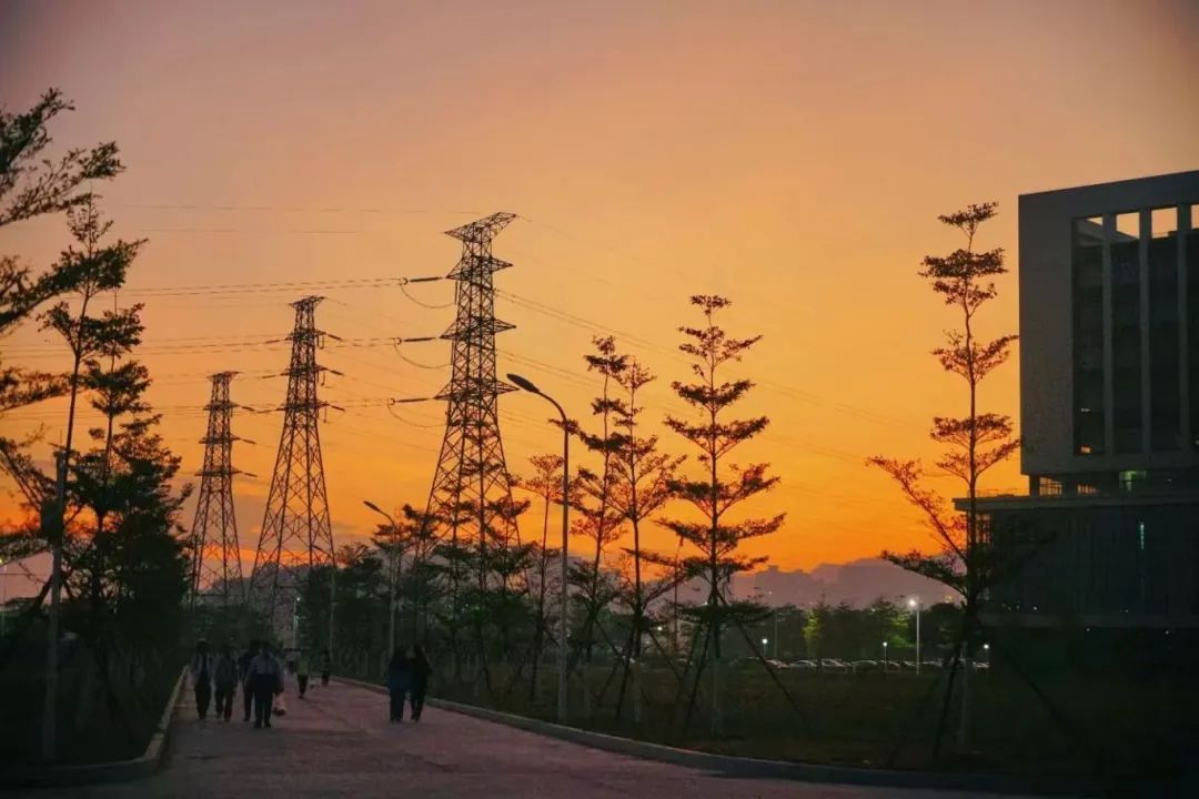 4069E14DE7E88C969FDF23AFC8D_5D2EA62C_15DE2