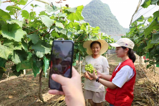 bti������(�й�)�ٷ���վ - APP����