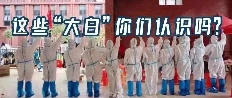 2DEF6B7568C7AE862756693A9AB_99415722_1149E