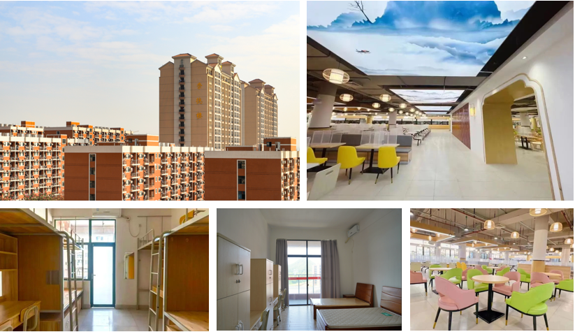 0115CDB175C3F9D00AB876DD5E6_A6C9D086_927DA 0115CDB175C3F9D00AB876DD5E6_A6C9D086_927DA