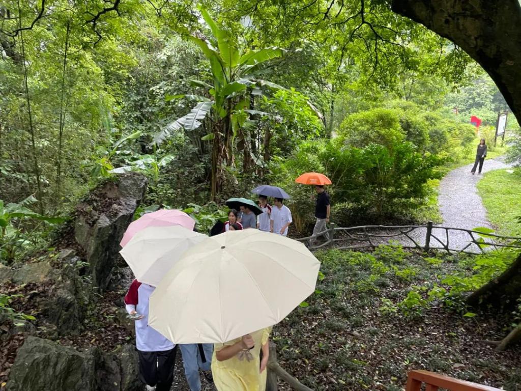 265C1D3FD36C8E10DFEA483F82E_1124E4FD_2F9E5