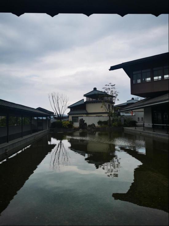 C8DD269C238CA2824E915F51F65_4E47869C_9501