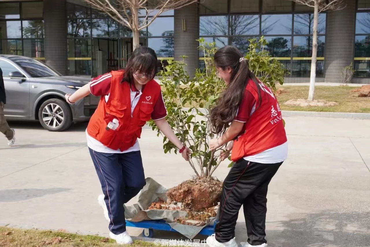 B8D8FF500E5B4DABEDBF335E06E_93D67433_2D69B