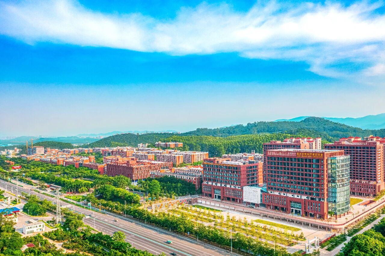 D8D030F3D5FE1695ED4B556DB08_CEE932A0_424A1 D8D030F3D5FE1695ED4B556DB08_CEE932A0_424A1