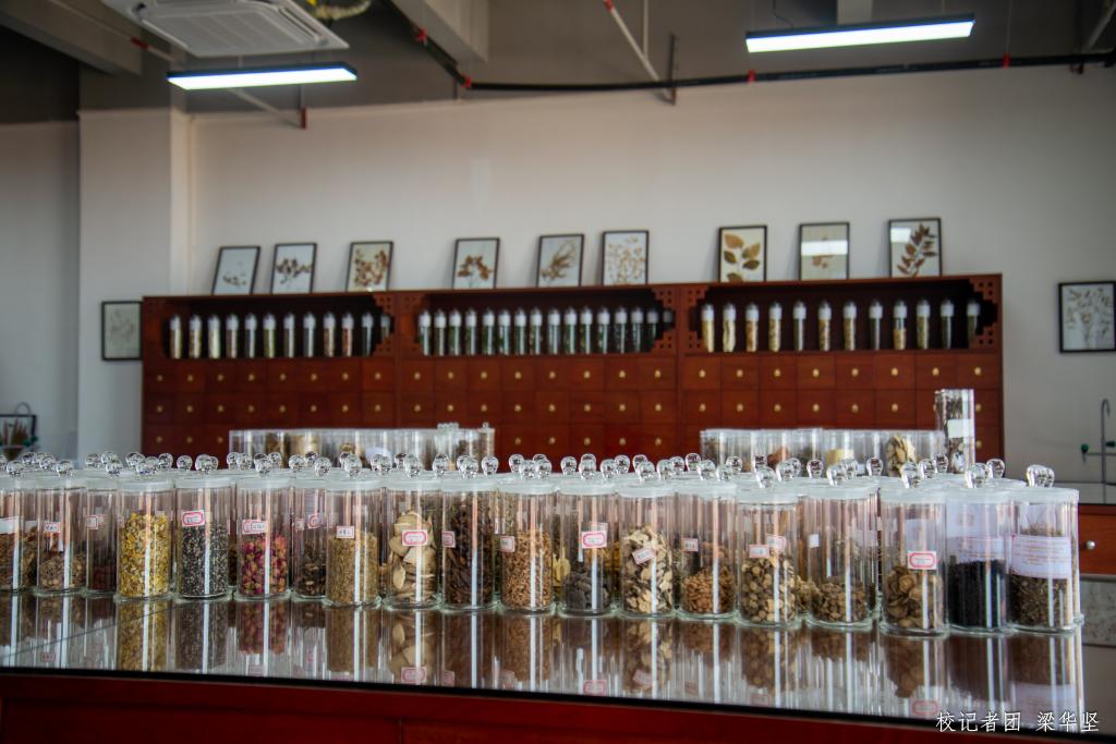 40A6164C41C2619F03E72267B1A_B5C1931E_175B9