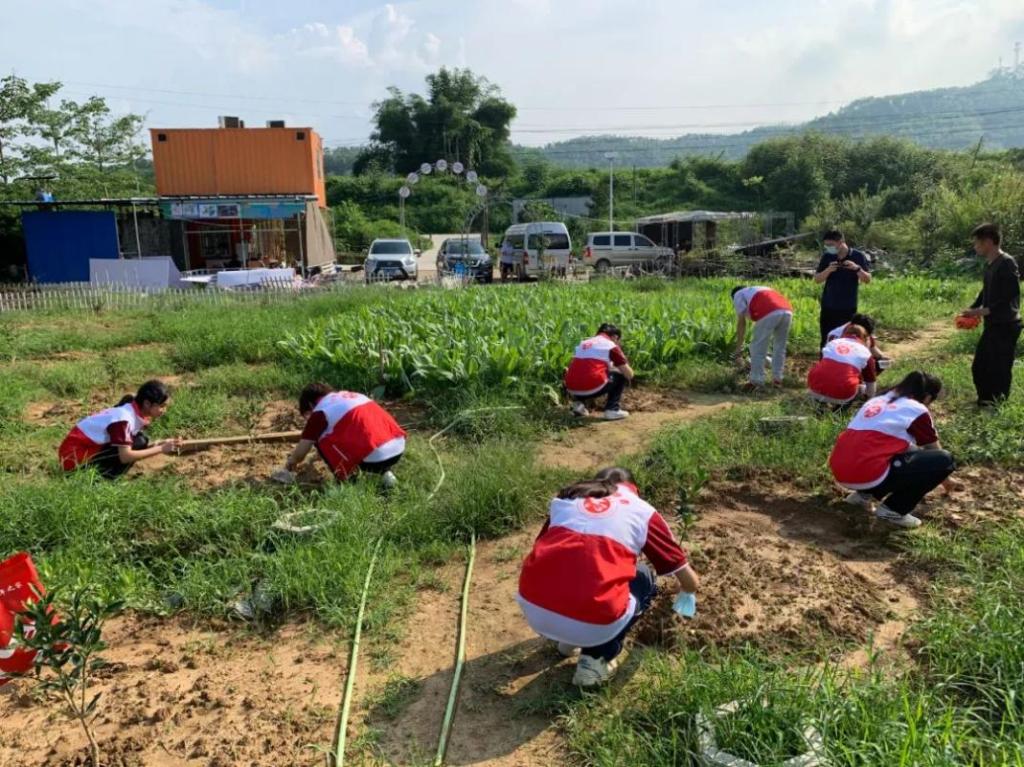 F79D9B42B9098A9761067675D8A_F07E6B9F_26D5A