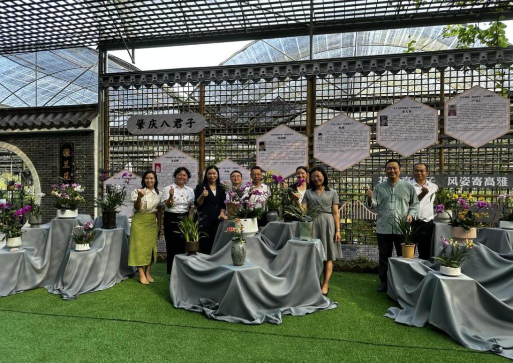 5D42AEC85B7C7199F235E6F56F6_CC89E472_2B4AB