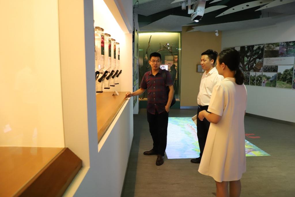 5F71E7EE61DCE26910306ACD9CB_B2223266_F06A