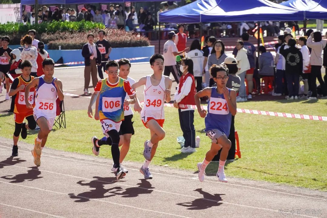 B015E06A4133FD345607C72F62B_2F0B8B1C_2C8F5 B015E06A4133FD345607C72F62B_2F0B8B1C_2C8F5