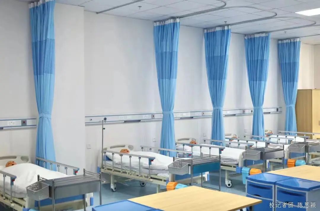 1622E1B043412B91DE98E9A67FE_240C5D2C_15A95