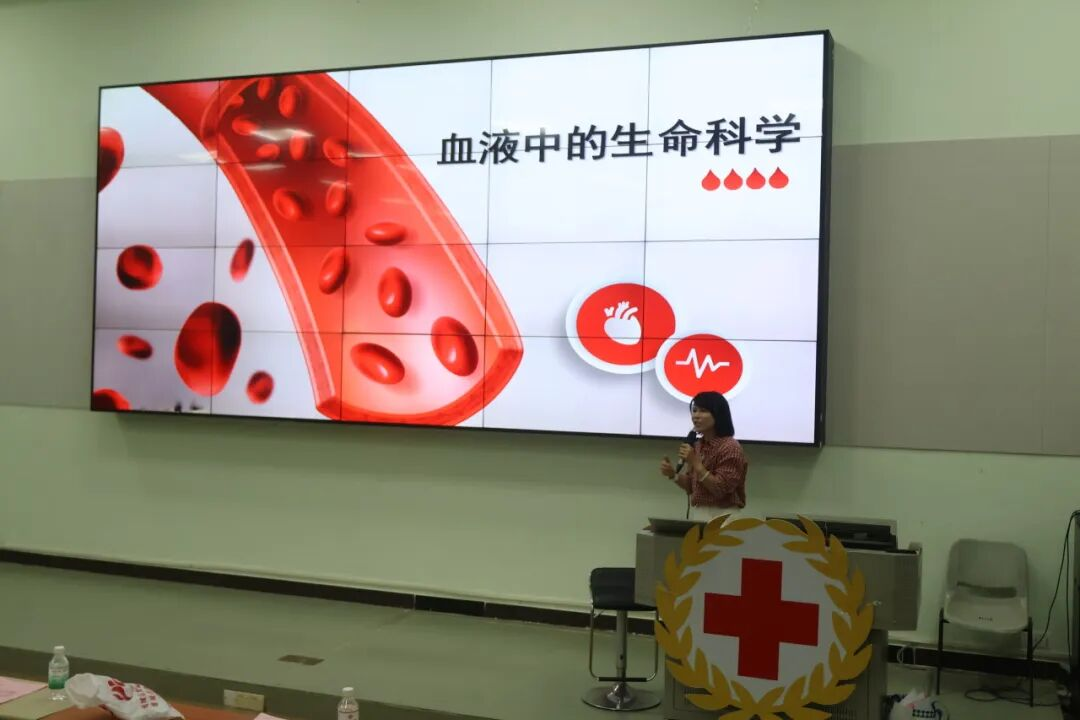 590AE0089FBF6862D2C90ED88F9_D8000B35_7E1FB