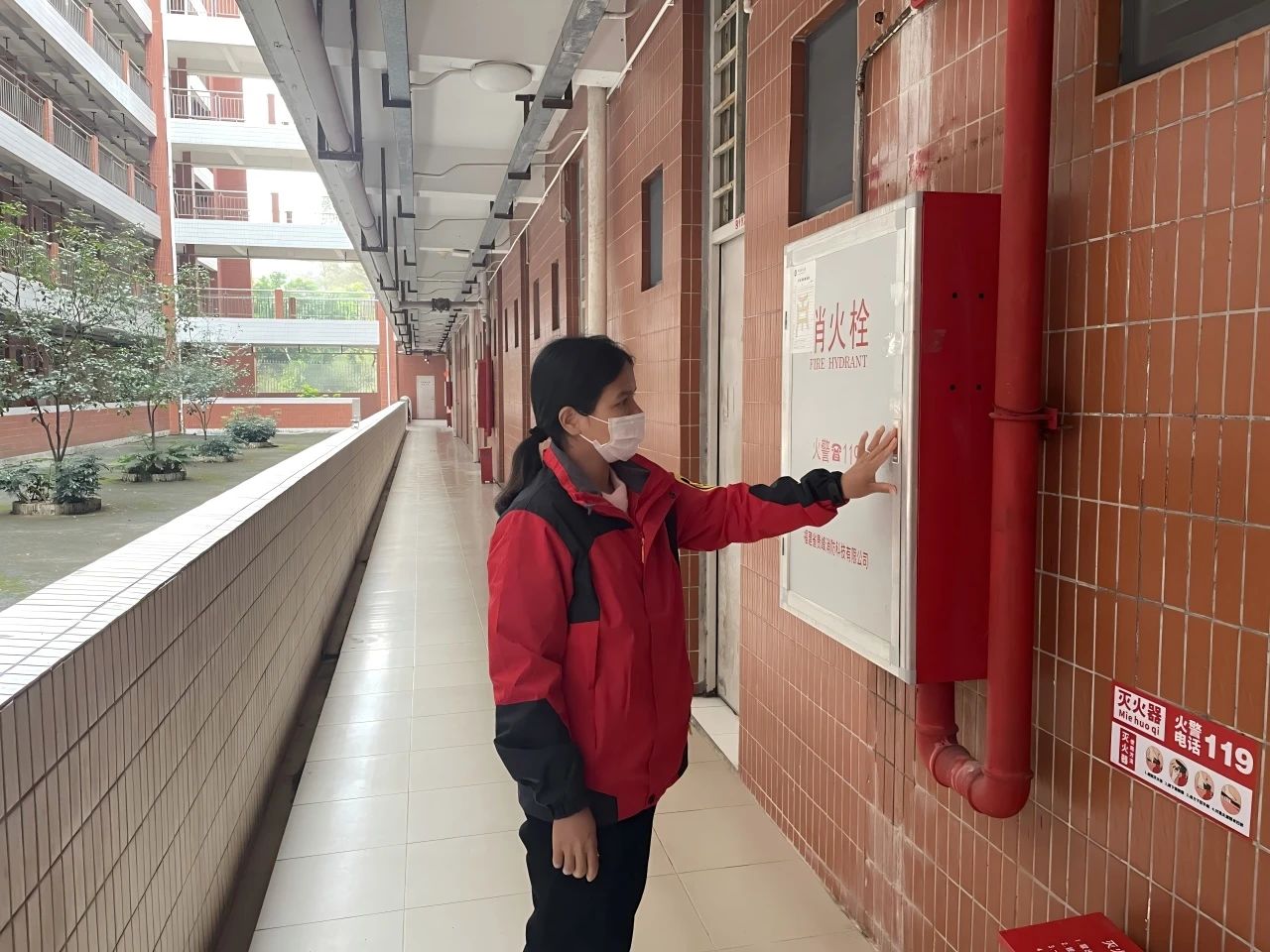 8B0D6BF9BFB187E826F2E416258_025B759B_326CC