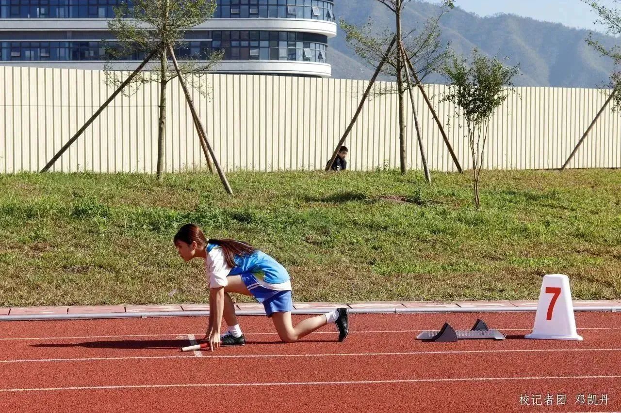 0445E0E82E81020E5AA9D7DB4C7_E3C72EA5_55FE8 0445E0E82E81020E5AA9D7DB4C7_E3C72EA5_55FE8