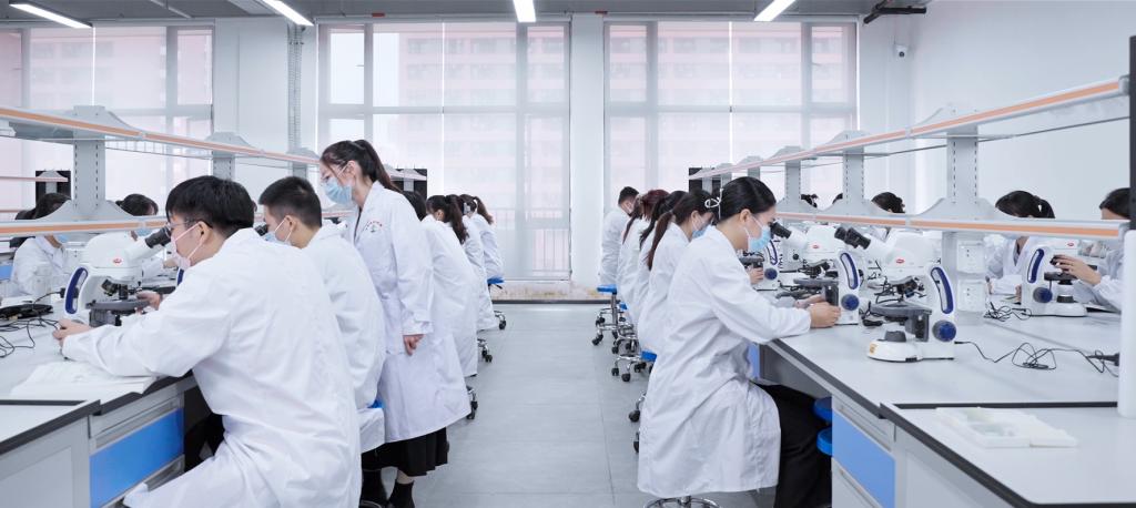 AAD840B6384D746D7078D67C518_AE6A9565_FDCD AAD840B6384D746D7078D67C518_AE6A9565_FDCD