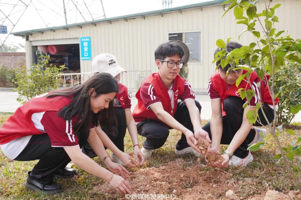 5ACD37C2FDEE6F2D2EF5D7BE595_4E13414D_2028A