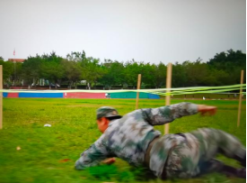 CEF516964780B5B6226EE560AA4_D4F73445_36ACA.png?e=