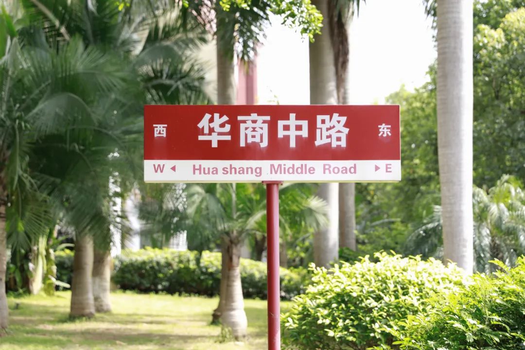 E0116ED44CF661FE16ADA3FA537_56D1AF1F_20849