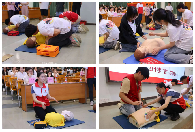 D7BBA1FA6632D10531E0D7F4C8C_5772725E_6E8BC D7BBA1FA6632D10531E0D7F4C8C_5772725E_6E8BC