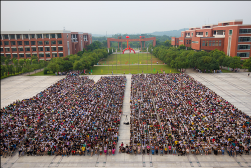 0C0EF07EA65437A60DE3DE0459868B2C