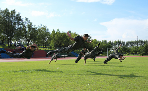 BADF17EEA2889A8090376FC117C429A3